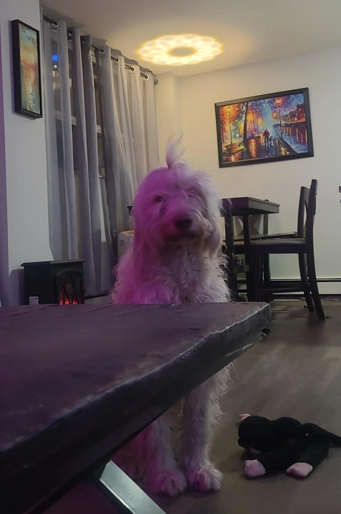 Halo standing happily beneath a light that creates a halo above her.